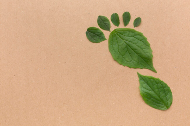 impronta ecologica