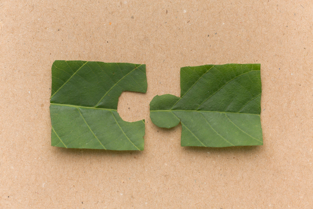 greenwashing